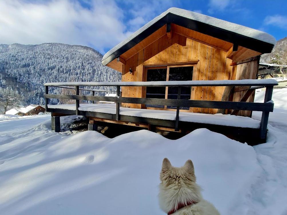 Le Chalet Du Blanc Spa Yoga Aillon-le-Jeune ภายนอก รูปภาพ