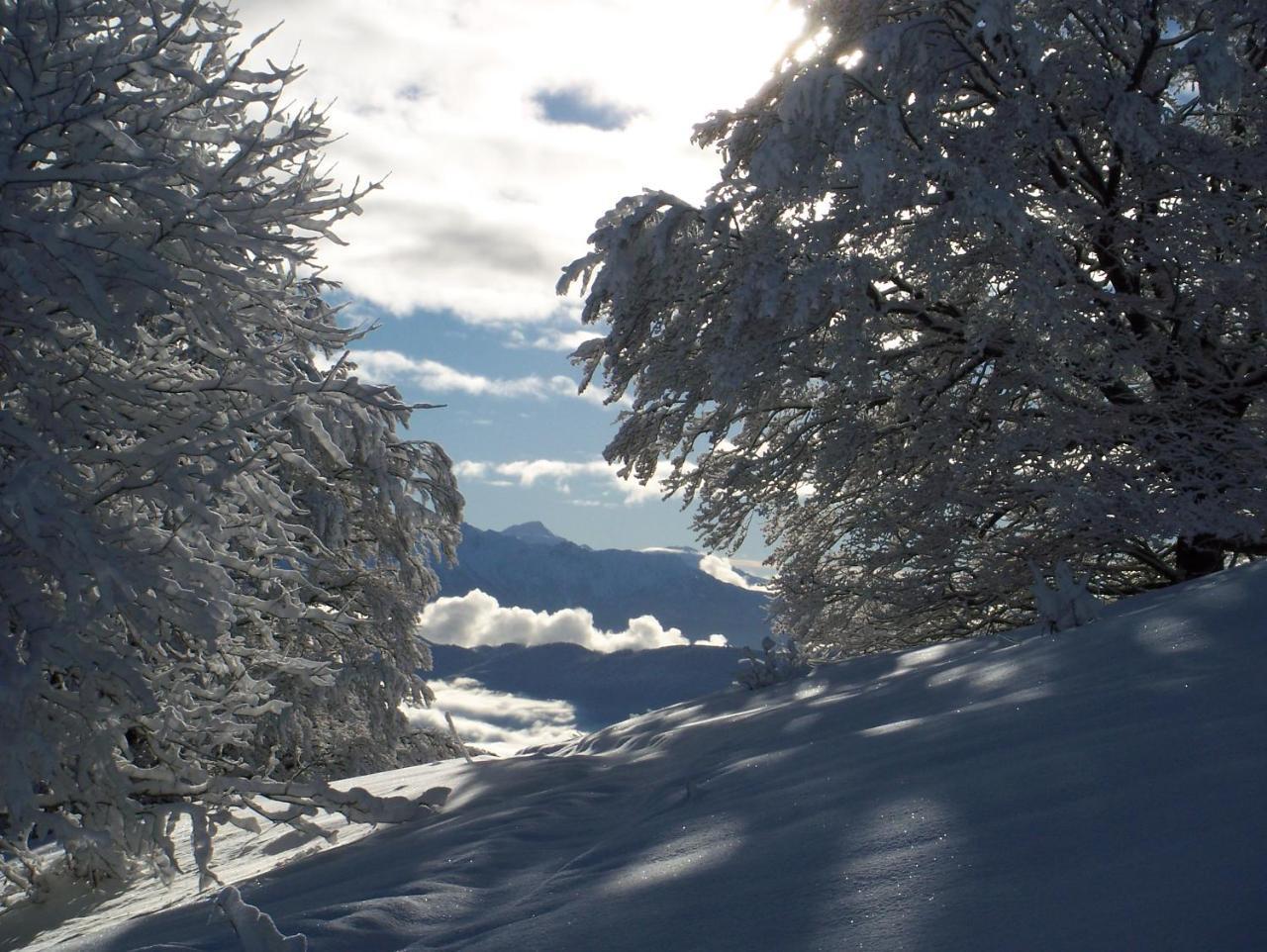 Le Chalet Du Blanc Spa Yoga Aillon-le-Jeune ภายนอก รูปภาพ