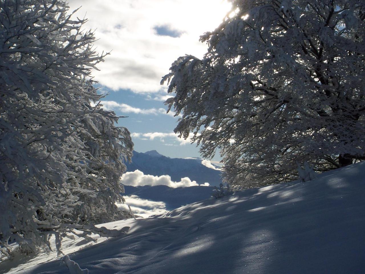 Le Chalet Du Blanc Spa Yoga Bed & Breakfast Aillon-le-Jeune ภายนอก รูปภาพ