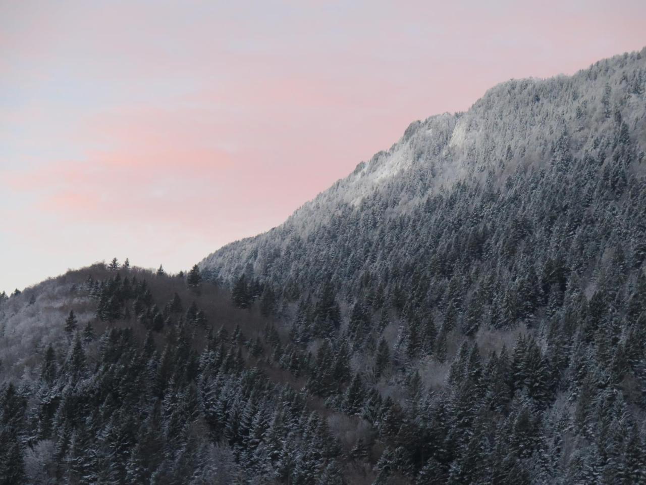 Le Chalet Du Blanc Spa Yoga Aillon-le-Jeune ภายนอก รูปภาพ